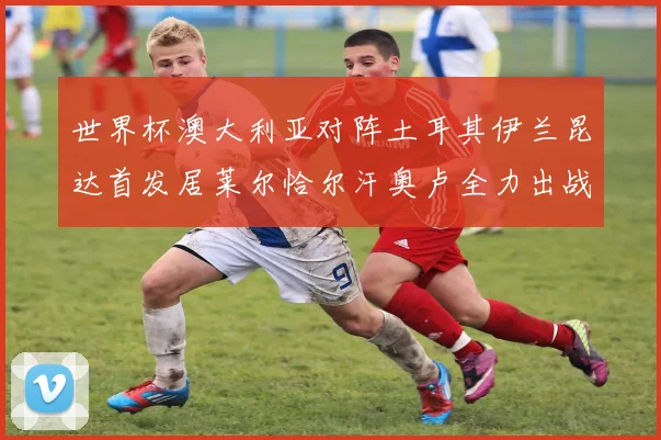 世界杯澳大利亚对阵土耳其伊兰昆达首发居莱尔恰尔汗奥卢全力出战